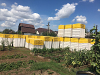 Газобетон КОТТЕДЖ D600 В3.5 625х100х250